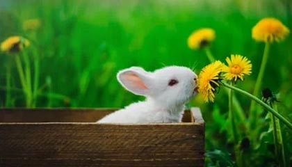 开云-安托万·格列兹曼算不算马竞的传奇？